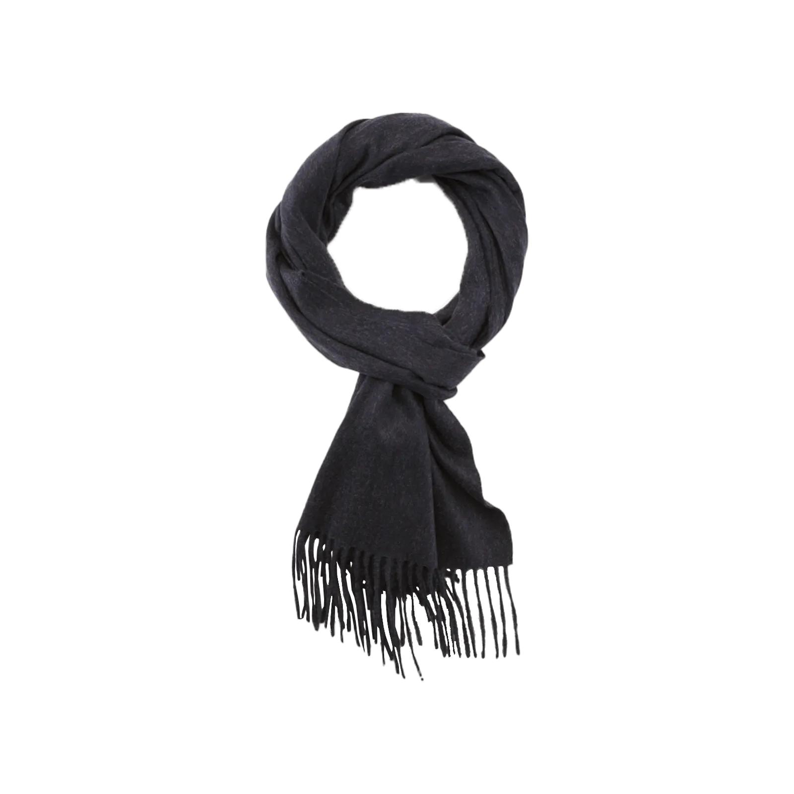 Aeternum Alashan Cashmere Scarf