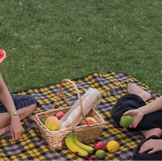 Otto & Spike McFadyen Picnic Rug