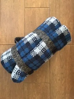 Otto & Spike McFadyen Picnic Rug